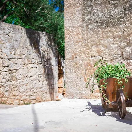 House Jogo Lägenhet Selca (Brac)